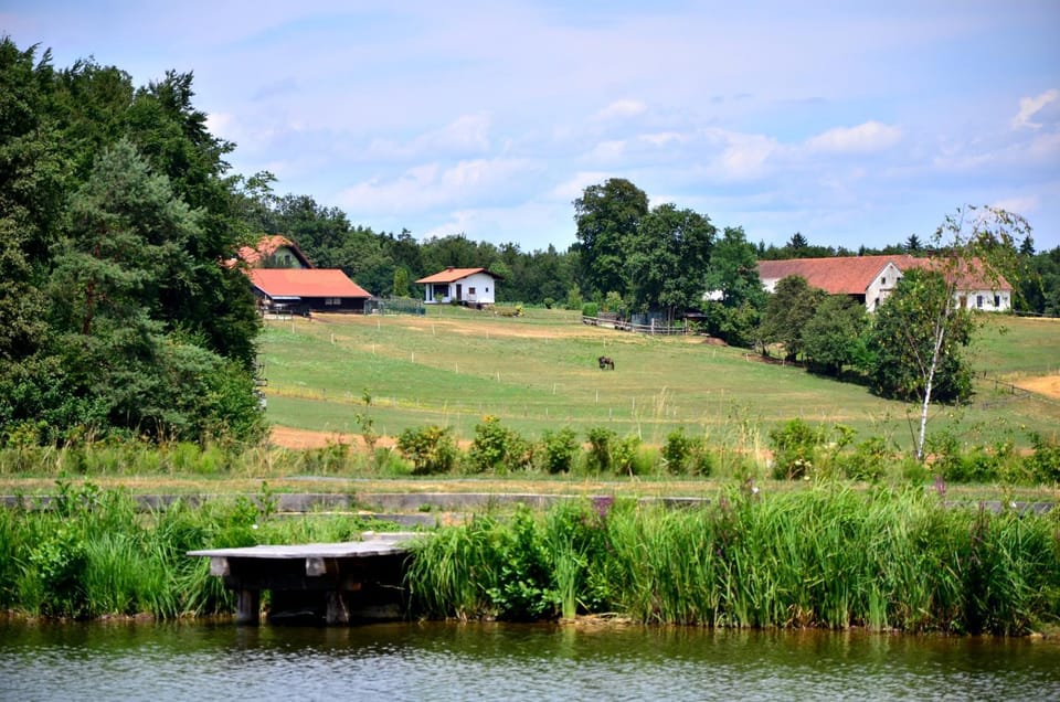 Property building, Spring, Day, Lake view