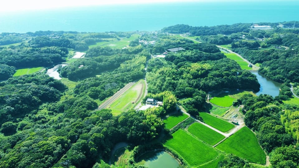 Spring, Neighbourhood, Bird's eye view, Sea view