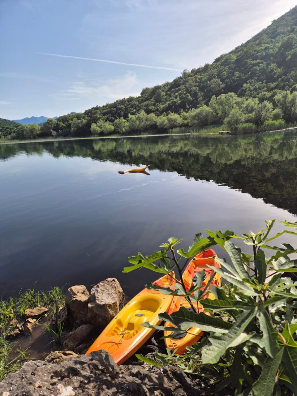 Natural landscape, Activities, Canoeing, Lake view, Location