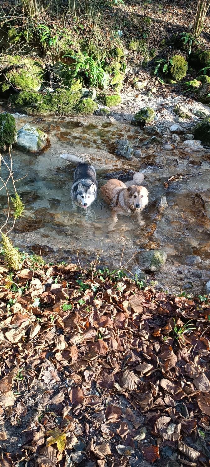 Natural landscape, River view