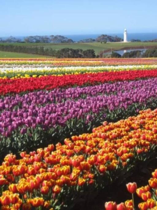 Kadi House - Unit 2 Apartment in Wynyard