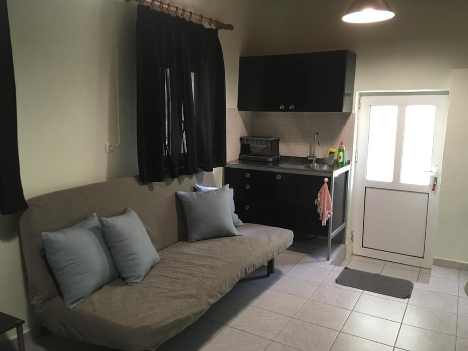 Bed, Kitchen or kitchenette, Living room, Seating area