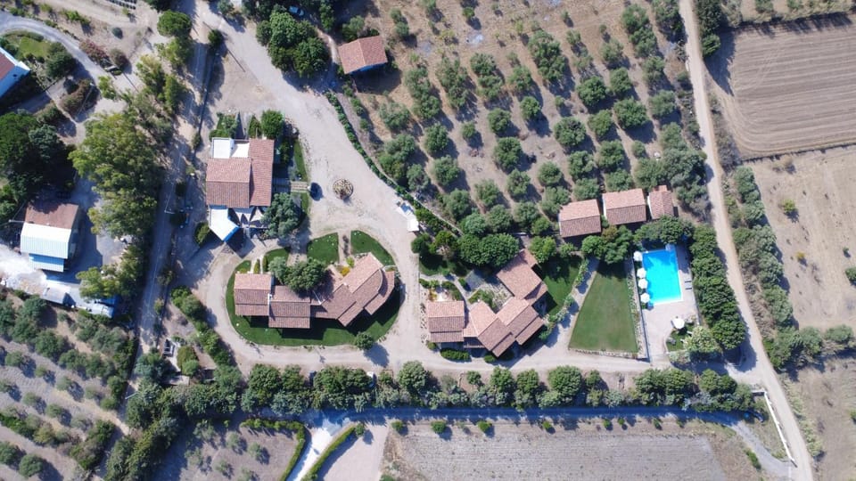 Bird's eye view, Location
