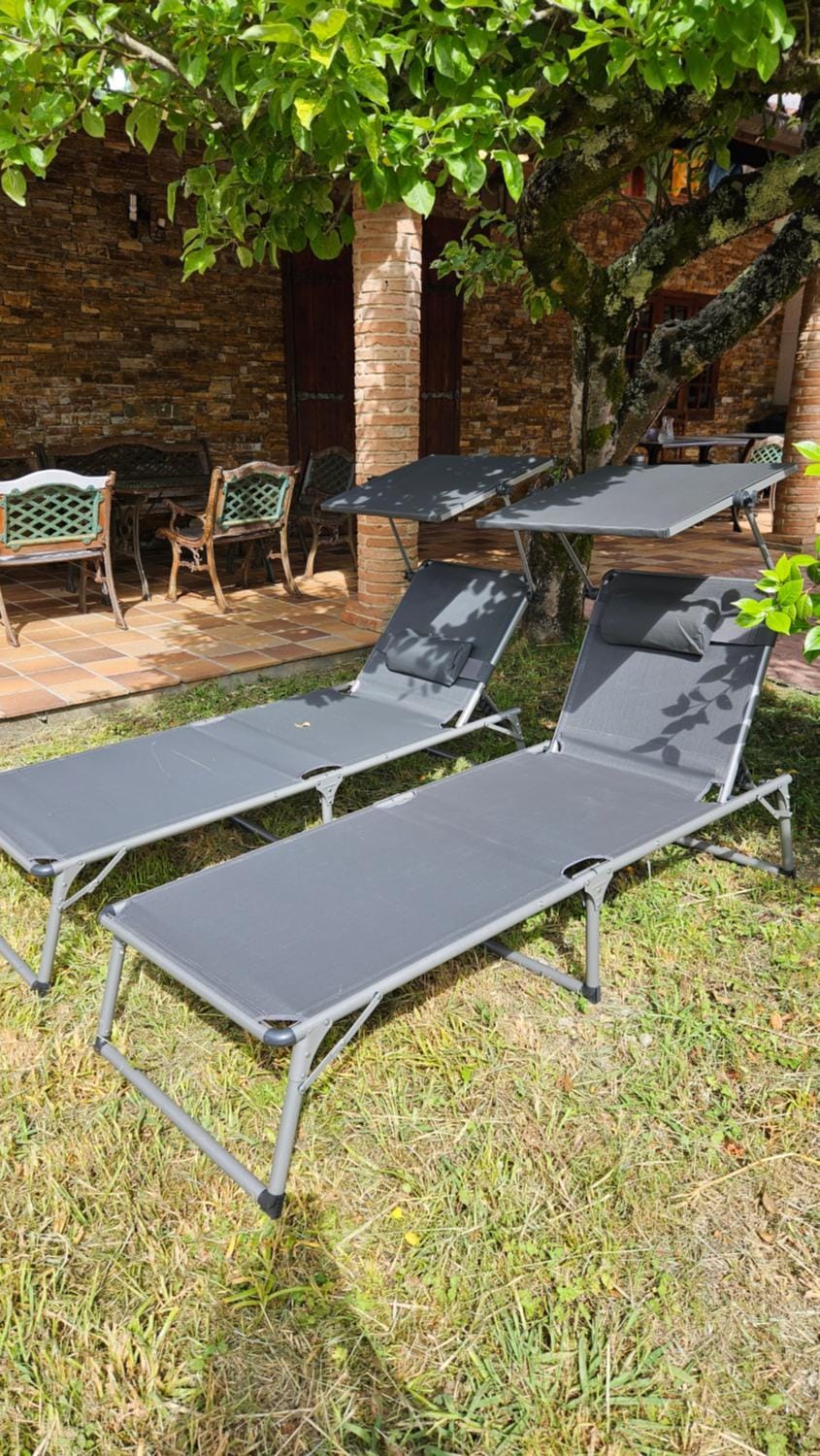 Garden, sunbed
