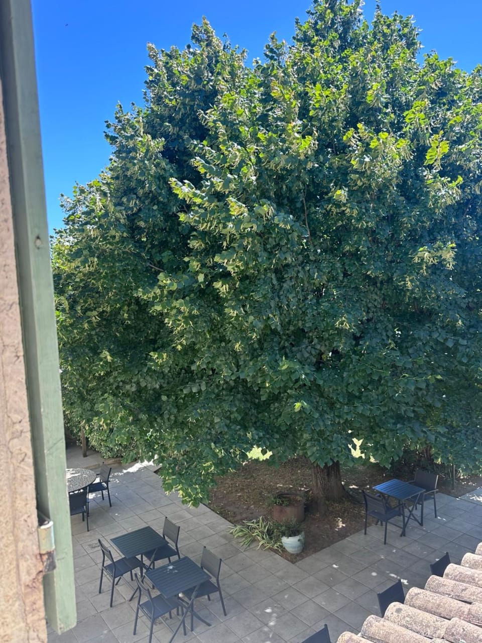 Garden view