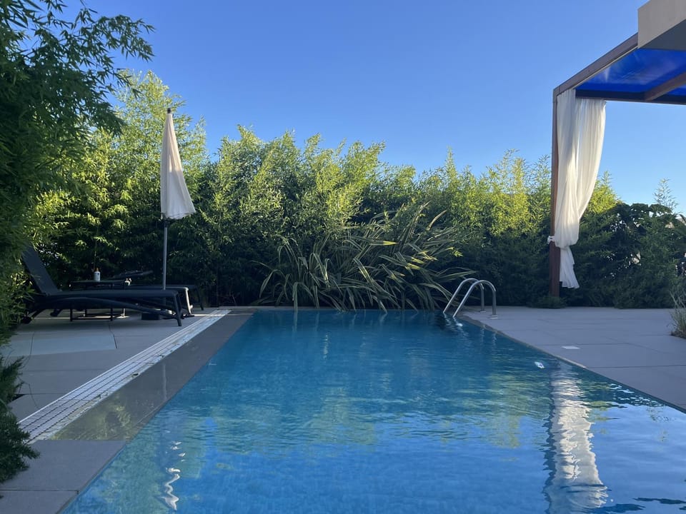 Garden, Pool view, sunbed