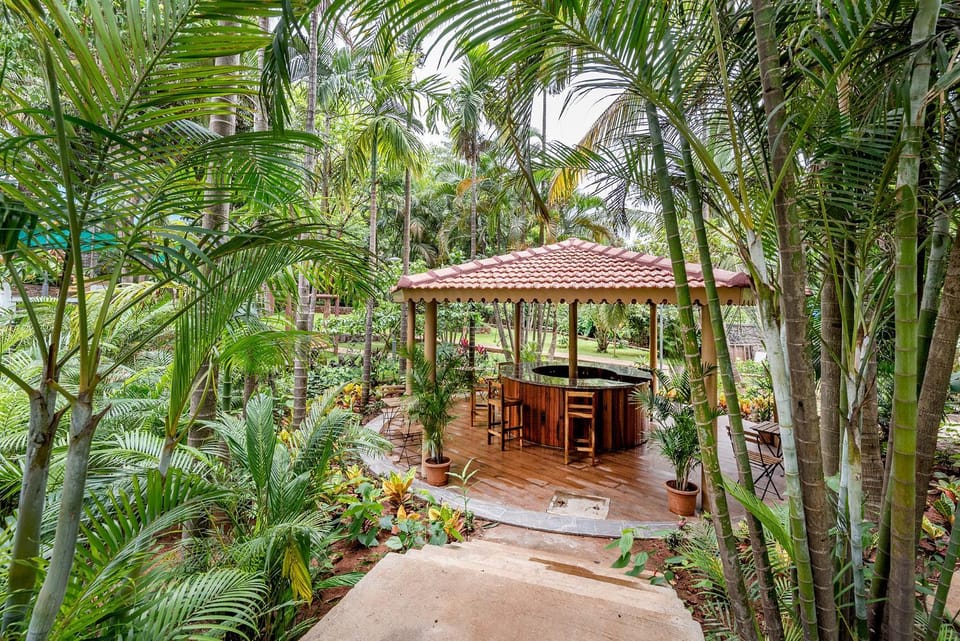 Patio, Garden, Other, Seating area