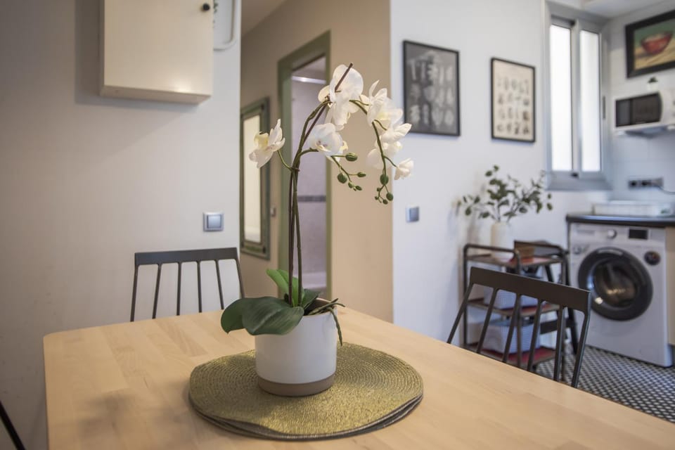 31ENT1027 - Mediterranean decorated apartment Apartment in Barcelona