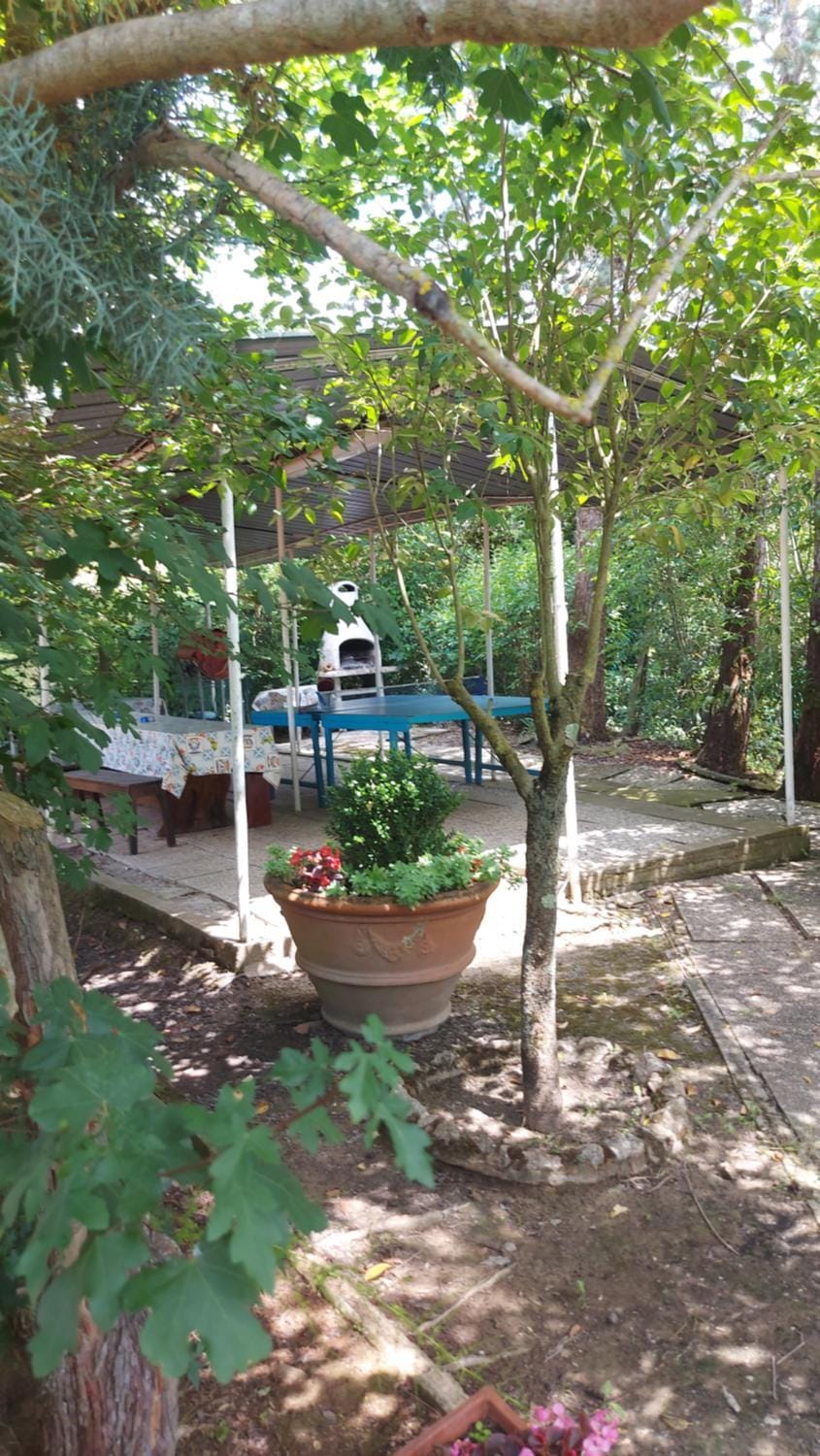 Day, Garden