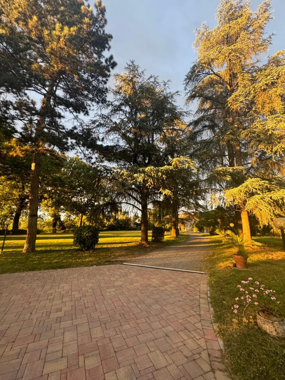 VILLA SAN SAVINO Bed and Breakfast in Emilia-Romagna