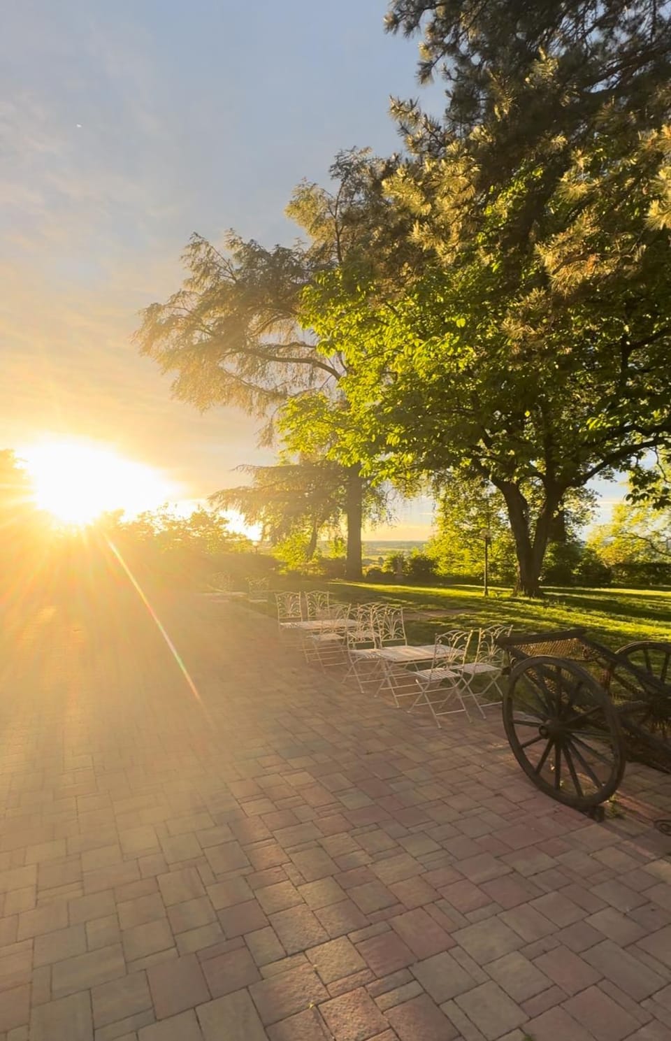 VILLA SAN SAVINO Bed and Breakfast in Emilia-Romagna