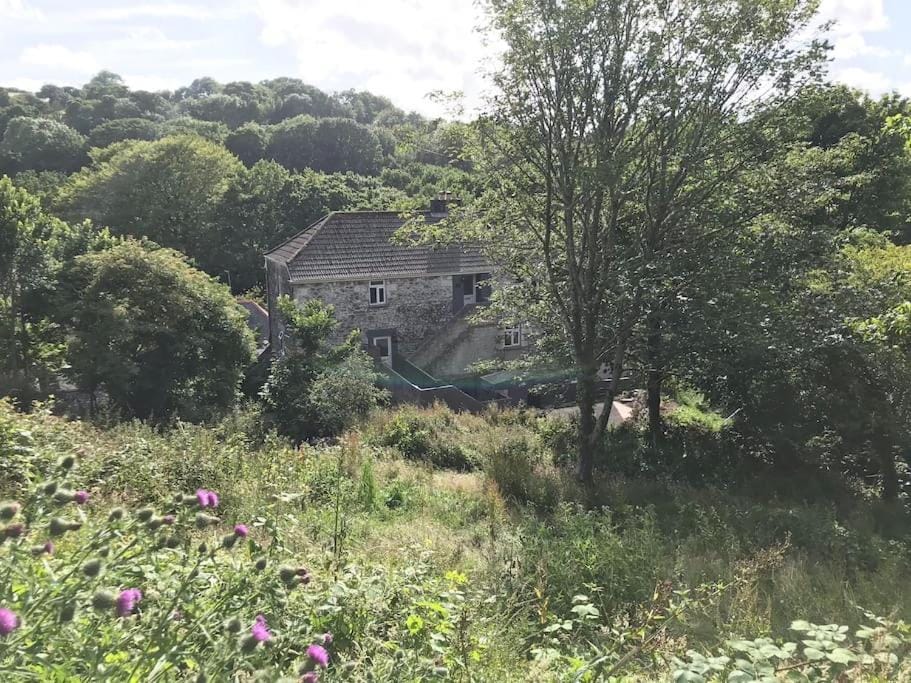 Property building, Natural landscape