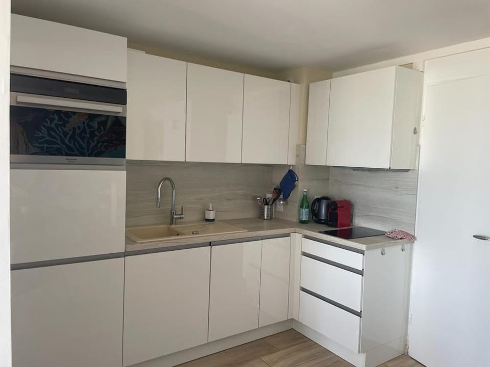 Kitchen or kitchenette, dishwasher, oven, stove