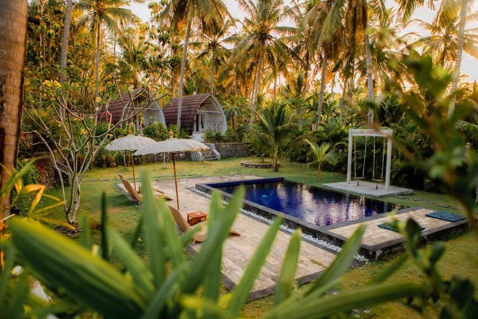 Pool view, Swimming pool, sunbed