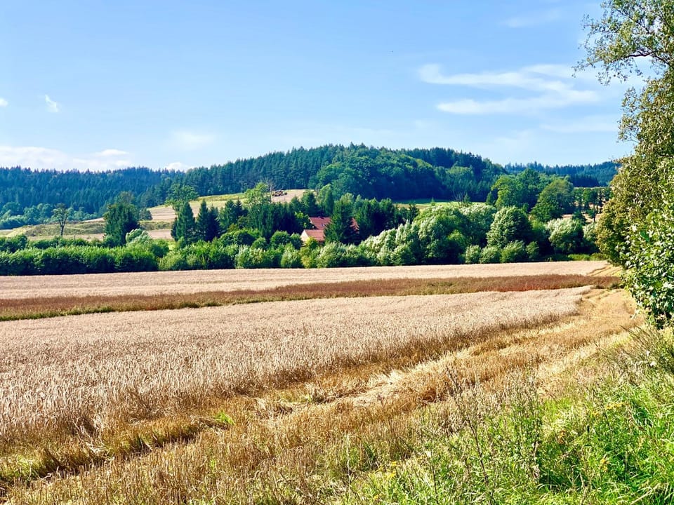 Property building, Day, Natural landscape, Activities, Other, Cycling, Mountain view