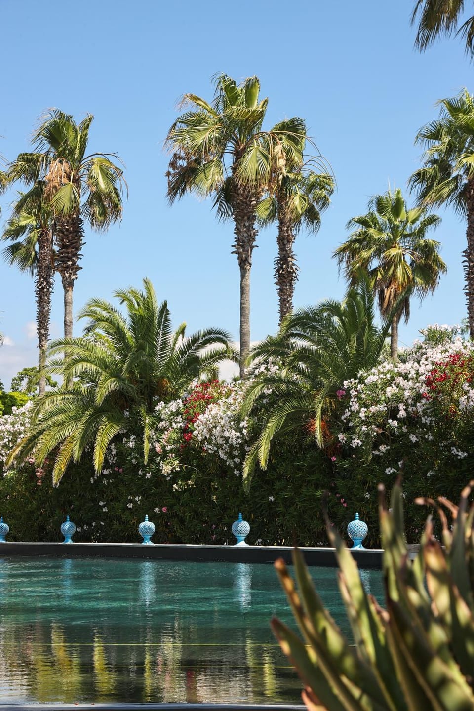 Garden, Swimming pool