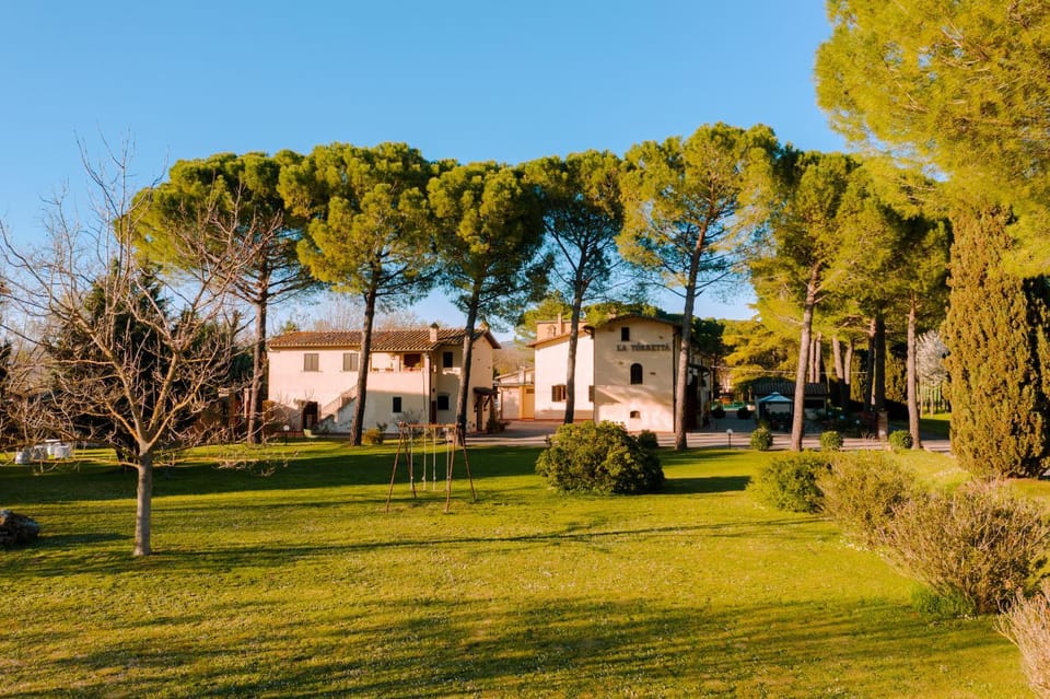 Property building, Garden, Garden view