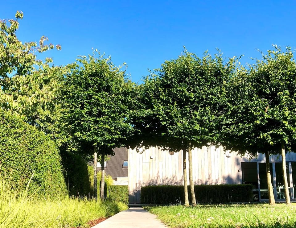 Gardenhouse 'The Block' - Ostend - private garden - IR cabine - AC Cabin in Ostend