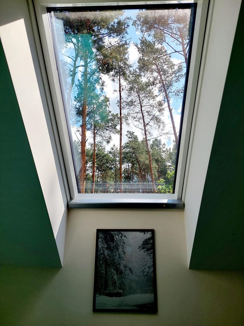 Natural landscape, Garden view