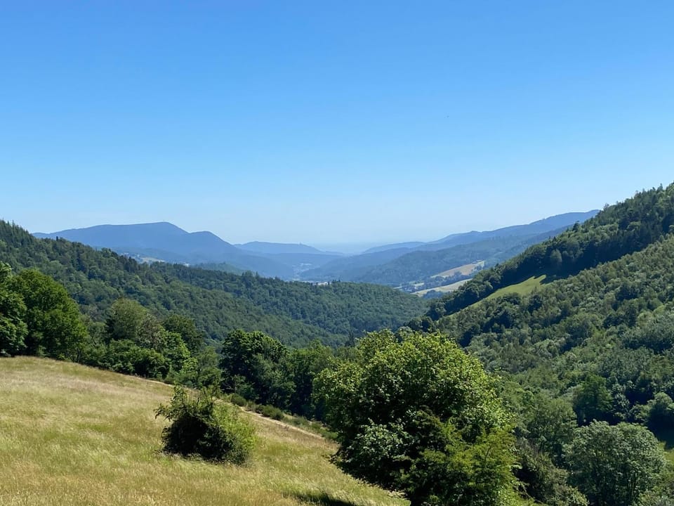 Natural landscape