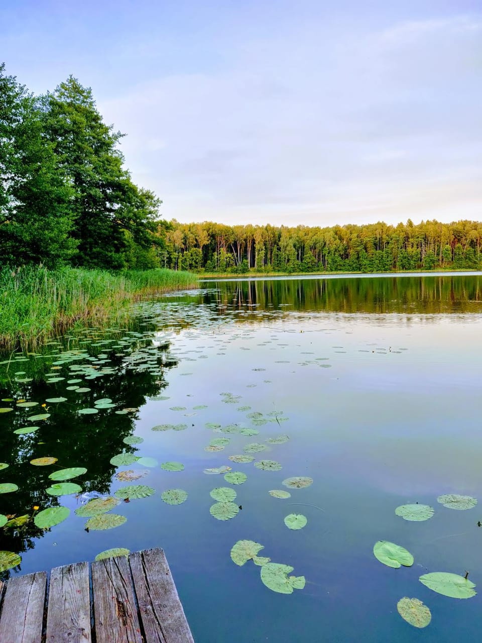 Natural landscape