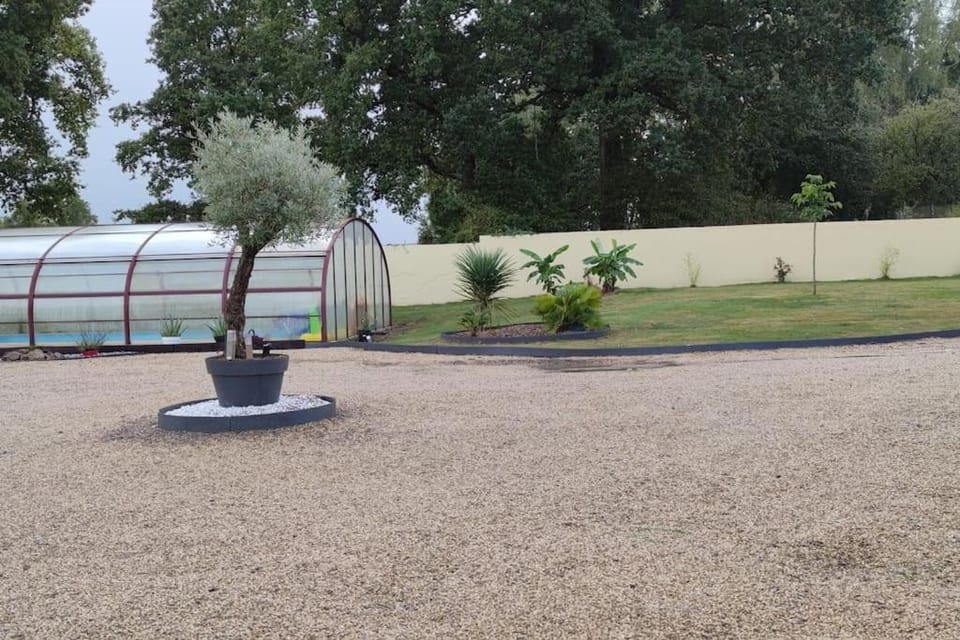 Garden, Inner courtyard view