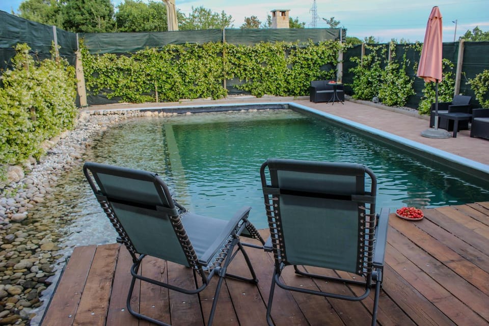 Patio, Garden, Garden view, Pool view, Swimming pool, sunbed