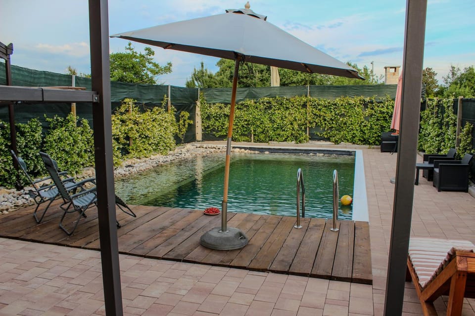 Garden, Garden view, Pool view, Swimming pool, sunbed