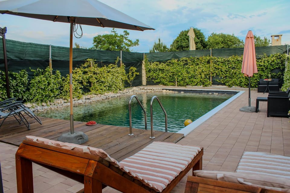 Patio, Garden, Garden view, Pool view, Swimming pool, sunbed