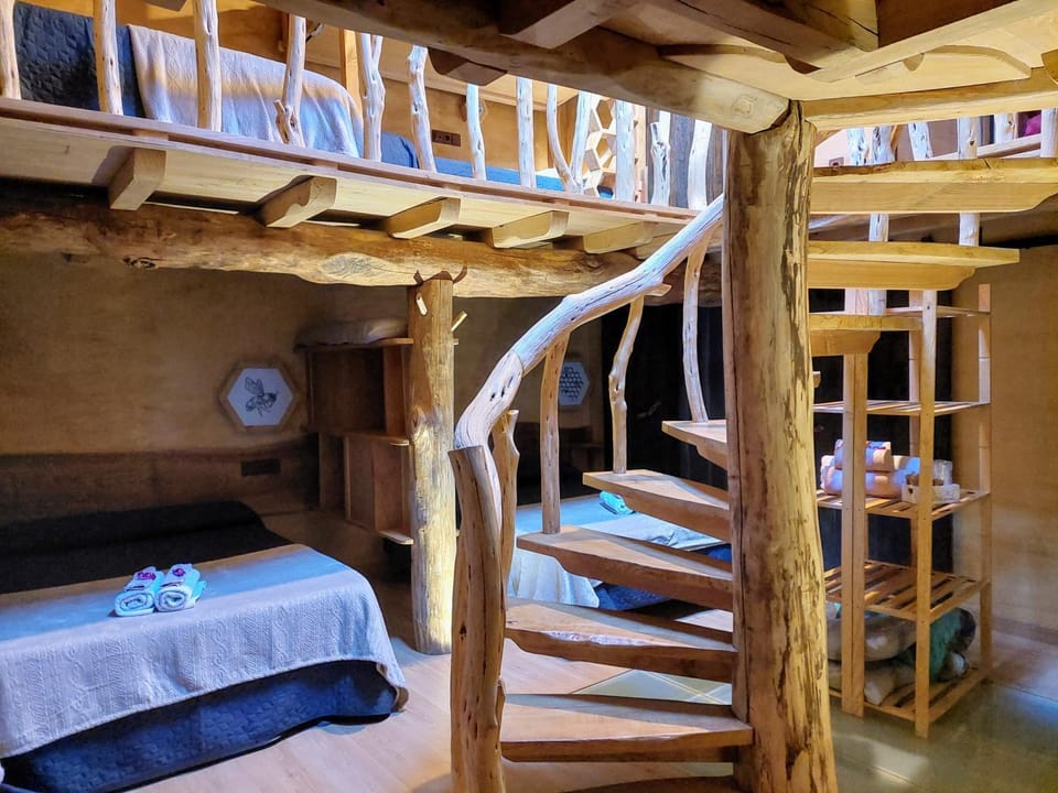 Bed, Photo of the whole room, Bedroom, group of guests, bunk bed, Family