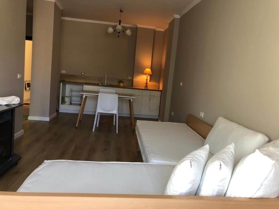 Kitchen or kitchenette, Living room, Seating area, Dining area