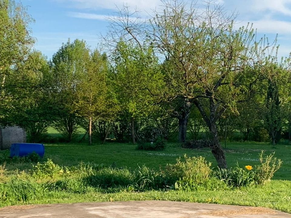 Natural landscape, Garden, Garden view