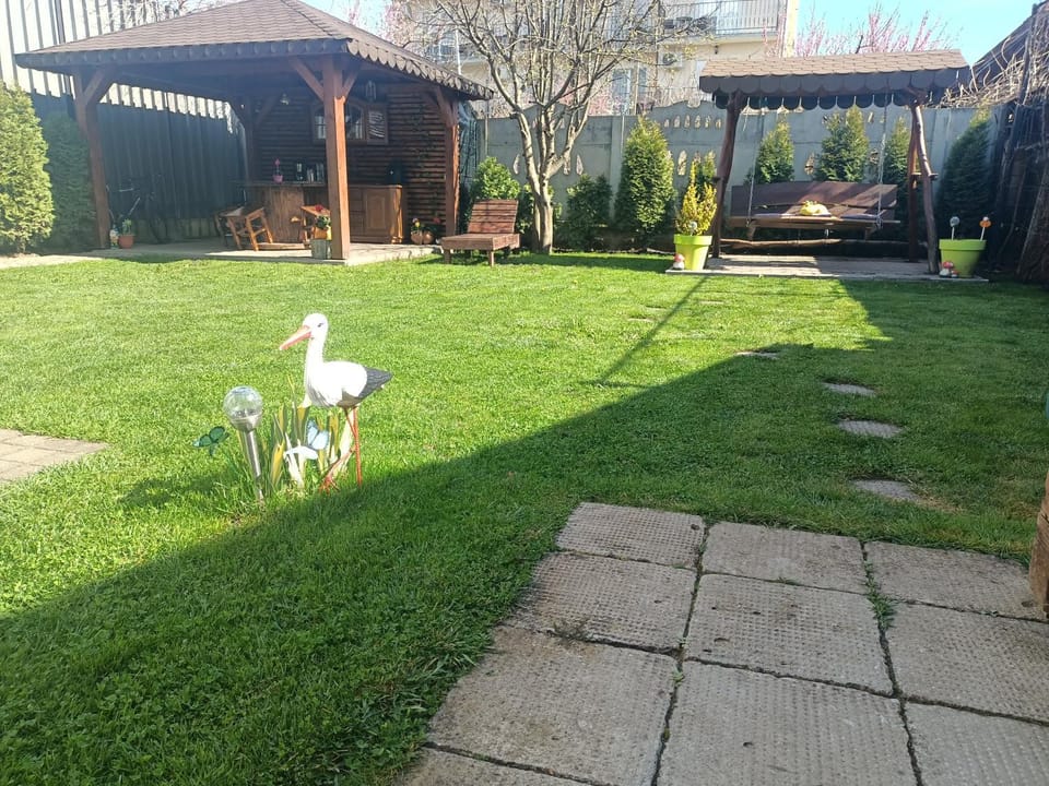 Day, Natural landscape, Garden, Garden view
