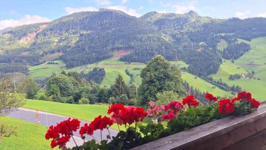Natural landscape