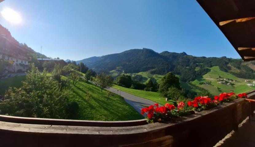 Haus Panorama Apartment in Tyrol