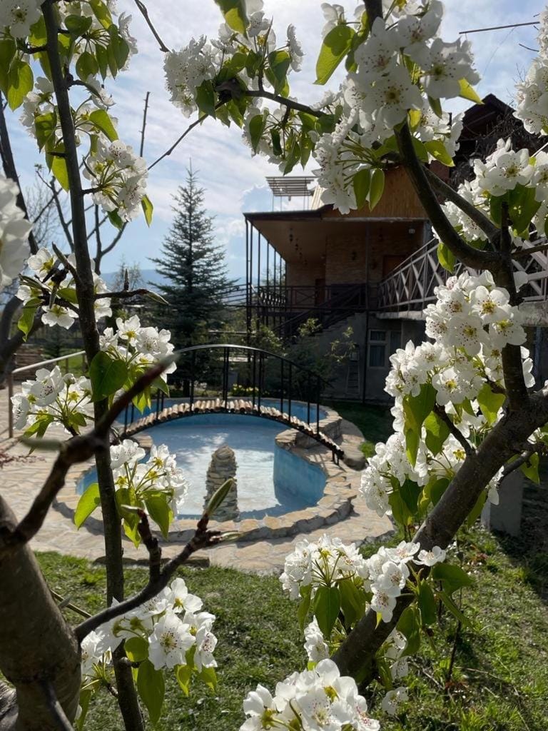 Property building, Swimming pool
