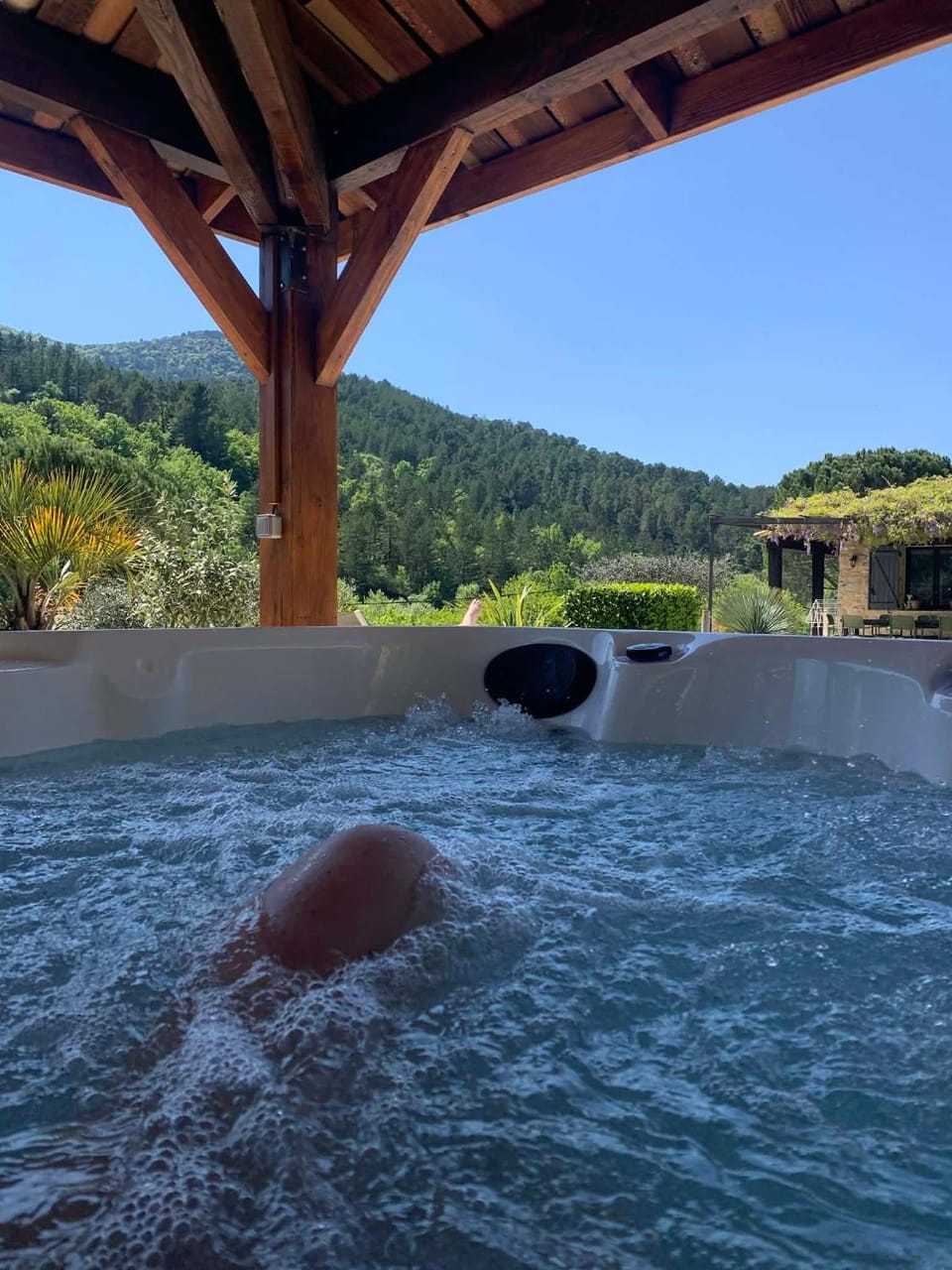 Maison en pierre, piscine, spa Villa in Buis-les-Baronnies