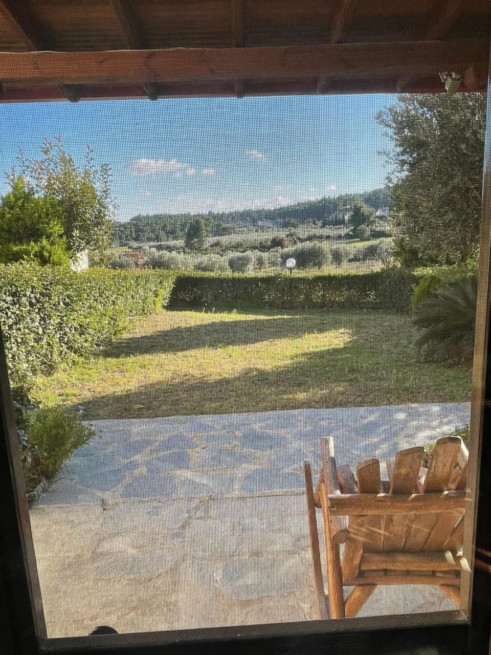 Garden view