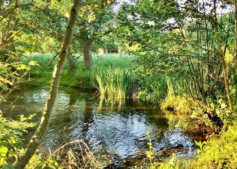 River view