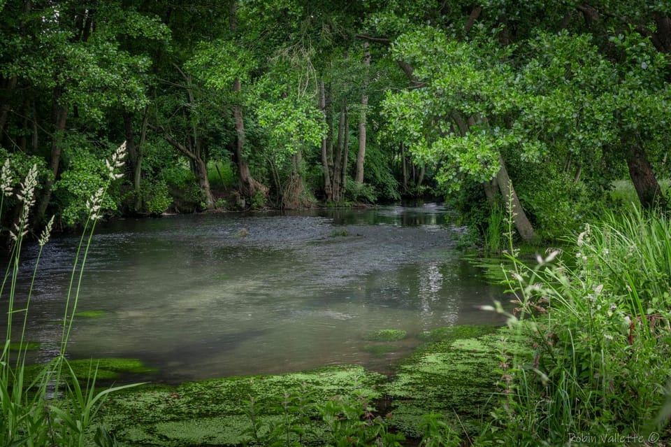 River view