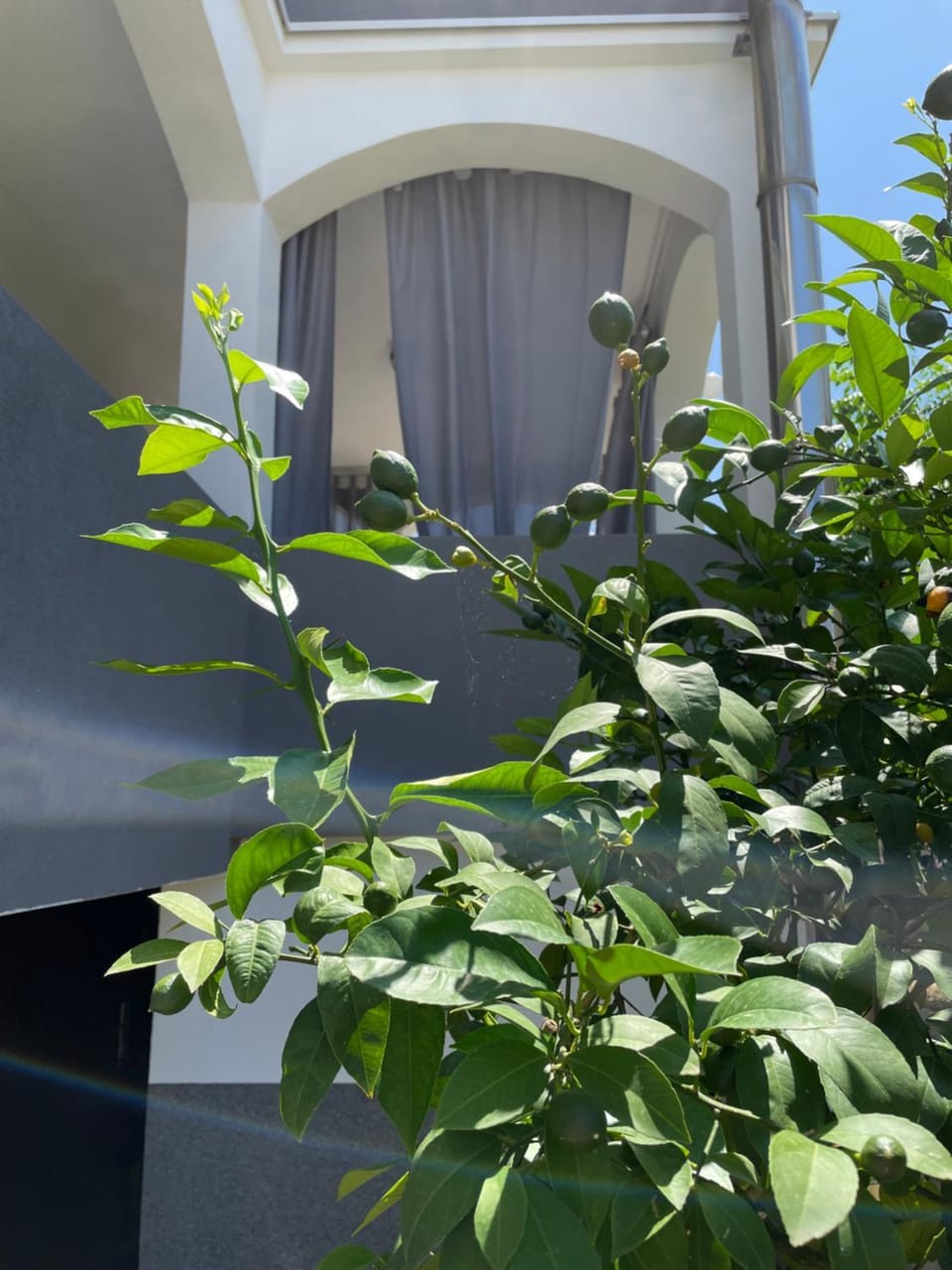 Property building, Day, Garden view