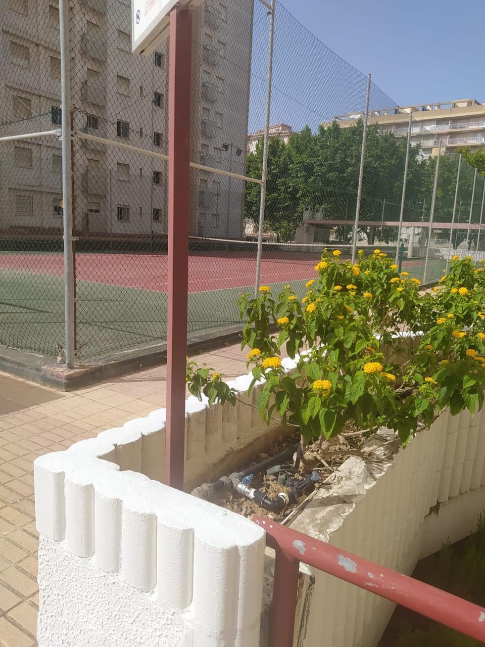 Tennis court