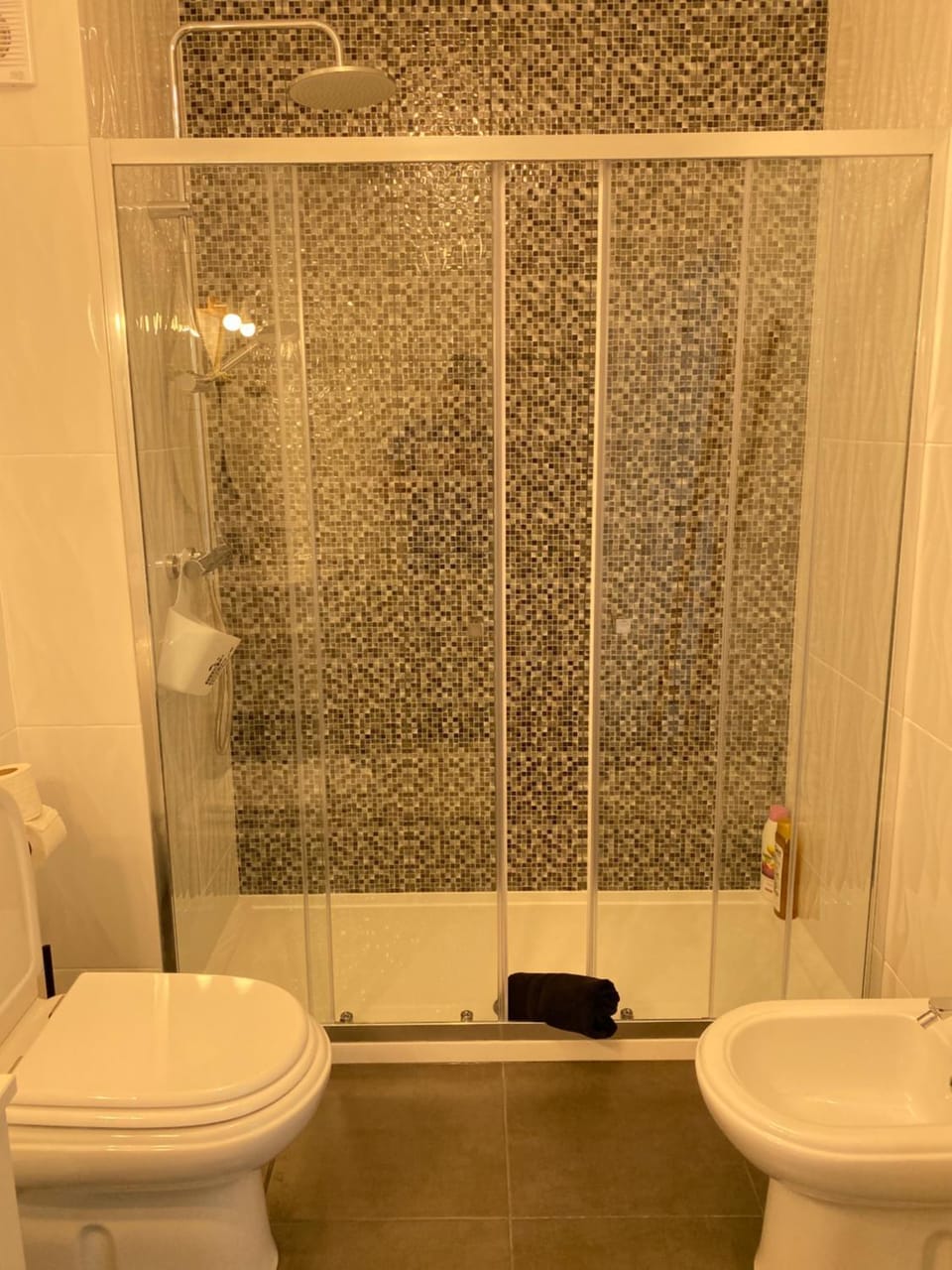 Shower, Toilet, Bathroom, bidet