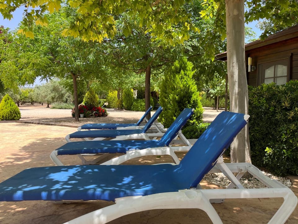 Patio, Swimming pool