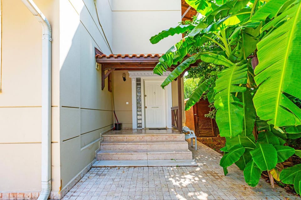 Property building, Spring, Day, Garden, Garden view