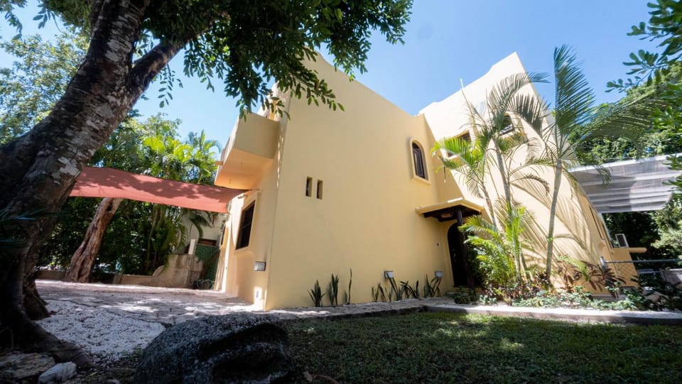 Property building, Garden view