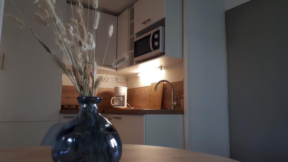 Kitchen or kitchenette, minibar, stove