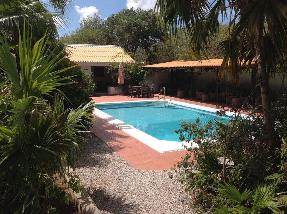 Day, Garden, Garden view, Pool view, Swimming pool, sunbed
