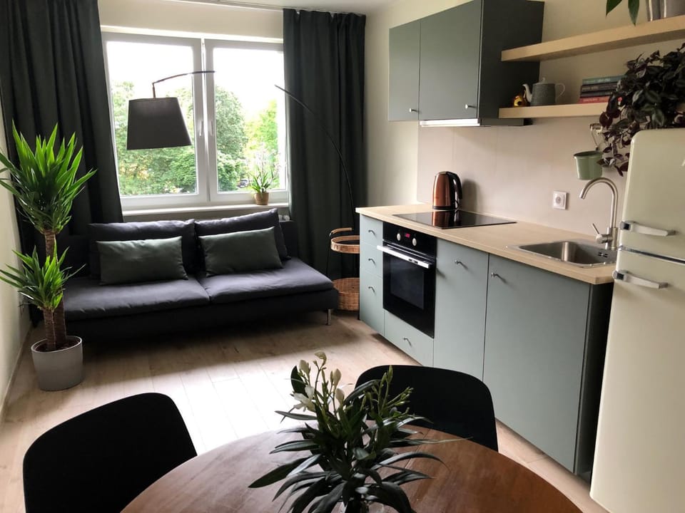 Kitchen or kitchenette, Living room