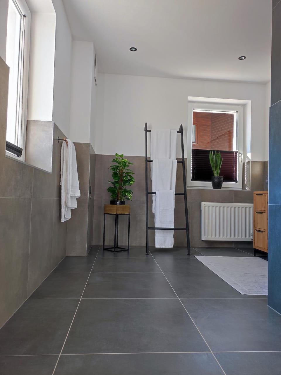 Ferienwohnung Tritscher Apartment in Salzburgerland